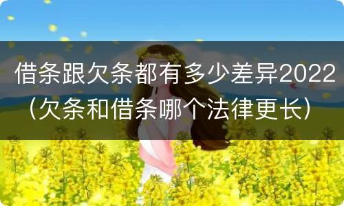 借条跟欠条都有多少差异2022（欠条和借条哪个法律更长）