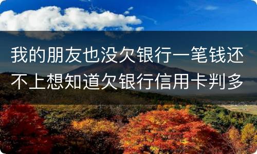 我的朋友也没欠银行一笔钱还不上想知道欠银行信用卡判多少年