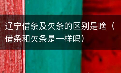 辽宁借条及欠条的区别是啥（借条和欠条是一样吗）