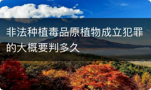 非法种植毒品原植物成立犯罪的大概要判多久