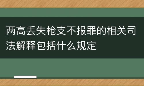两高丢失枪支不报罪的相关司法解释包括什么规定