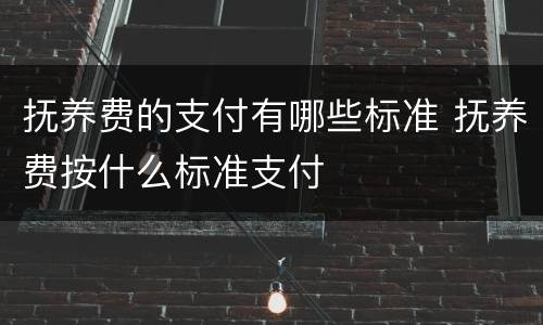 抚养费的支付有哪些标准 抚养费按什么标准支付