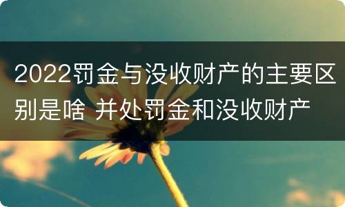 2022罚金与没收财产的主要区别是啥 并处罚金和没收财产