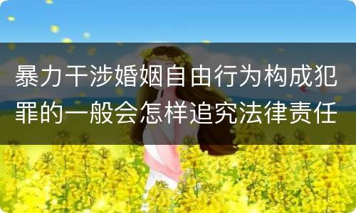 暴力干涉婚姻自由行为构成犯罪的一般会怎样追究法律责任