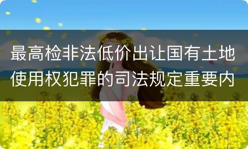 最高检非法低价出让国有土地使用权犯罪的司法规定重要内容是什么