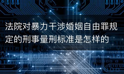 法院对暴力干涉婚姻自由罪规定的刑事量刑标准是怎样的