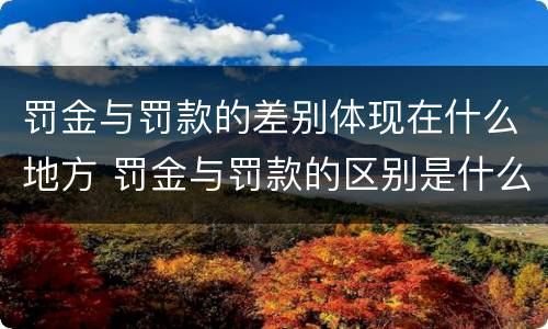 罚金与罚款的差别体现在什么地方 罚金与罚款的区别是什么