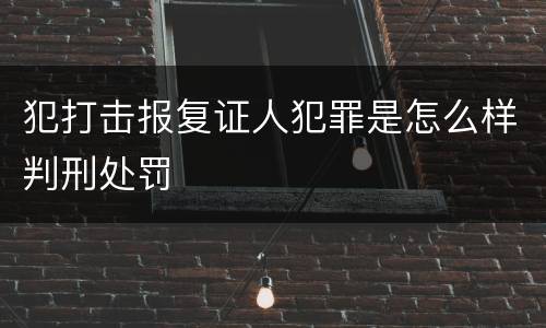 犯打击报复证人犯罪是怎么样判刑处罚