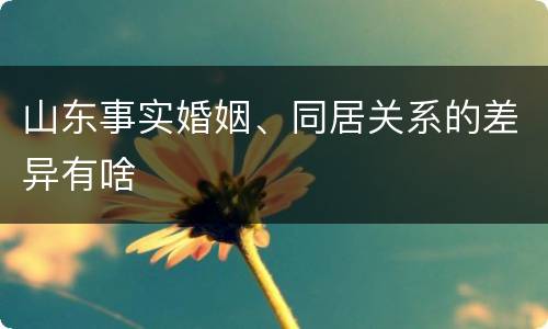 山东事实婚姻、同居关系的差异有啥