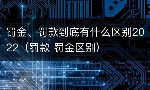 罚金、罚款到底有什么区别2022（罚款 罚金区别）