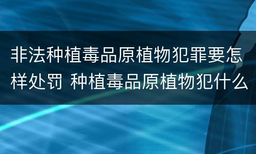 非法种植毒品原植物犯罪要怎样处罚 种植毒品原植物犯什么罪