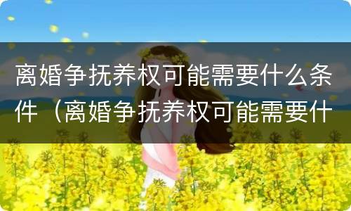 离婚争抚养权可能需要什么条件（离婚争抚养权可能需要什么条件才能起诉）