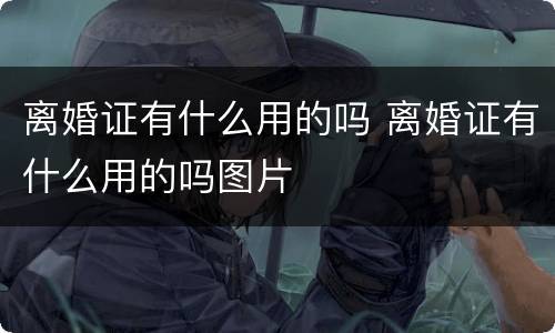 离婚证有什么用的吗 离婚证有什么用的吗图片