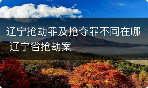 辽宁抢劫罪及抢夺罪不同在哪 辽宁省抢劫案