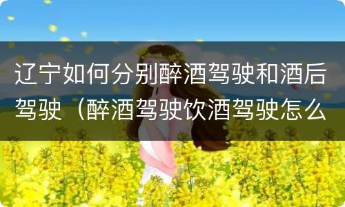 辽宁如何分别醉酒驾驶和酒后驾驶（醉酒驾驶饮酒驾驶怎么区别）