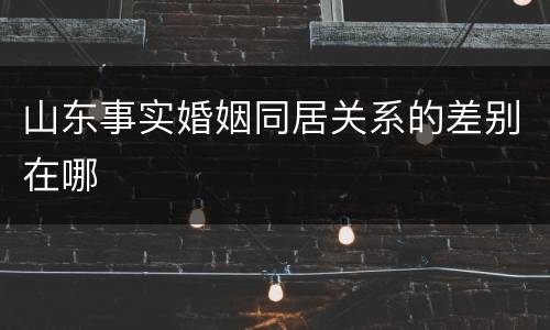 山东事实婚姻同居关系的差别在哪