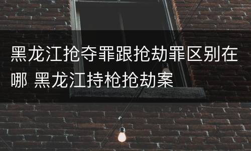 黑龙江抢夺罪跟抢劫罪区别在哪 黑龙江持枪抢劫案