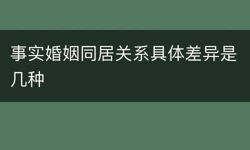 事实婚姻同居关系具体差异是几种