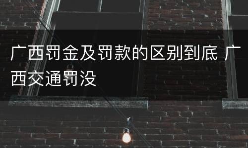 广西罚金及罚款的区别到底 广西交通罚没