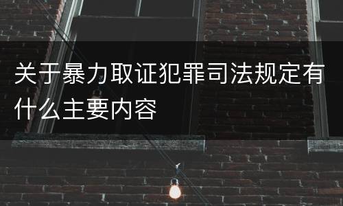 关于暴力取证犯罪司法规定有什么主要内容