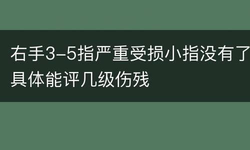 右手3-5指严重受损小指没有了具体能评几级伤残