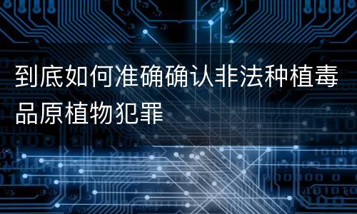 到底如何准确确认非法种植毒品原植物犯罪