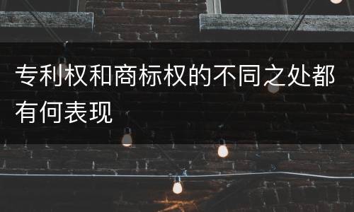 专利权和商标权的不同之处都有何表现