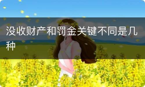 没收财产和罚金关键不同是几种