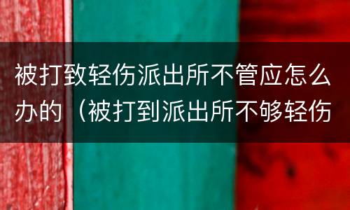 被打致轻伤派出所不管应怎么办的（被打到派出所不够轻伤怎么办）