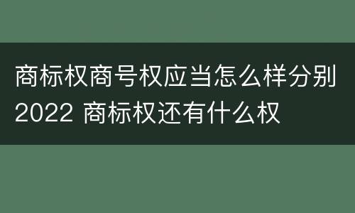 商标权商号权应当怎么样分别2022 商标权还有什么权