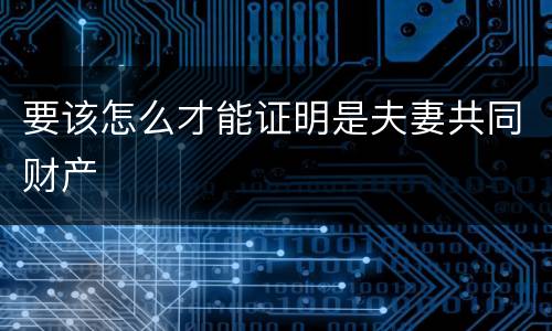 要该怎么才能证明是夫妻共同财产