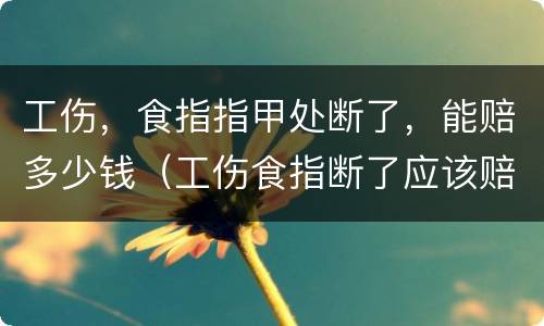 工伤，食指指甲处断了，能赔多少钱（工伤食指断了应该赔偿多少钱）