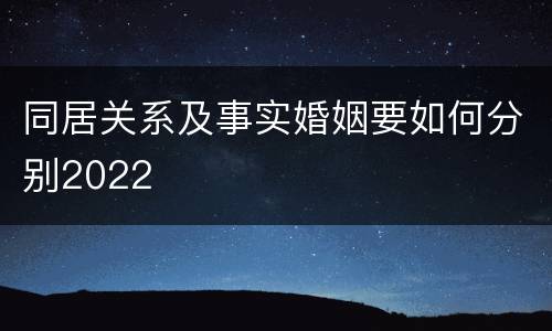 同居关系及事实婚姻要如何分别2022