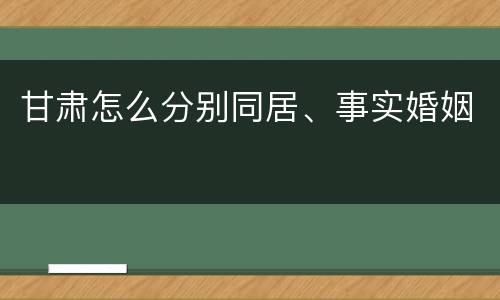 甘肃怎么分别同居、事实婚姻