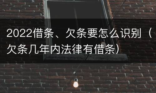 2022借条、欠条要怎么识别（欠条几年内法律有借条）