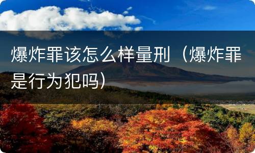 爆炸罪该怎么样量刑（爆炸罪是行为犯吗）