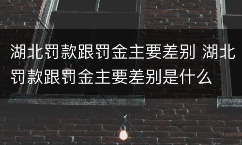 湖北罚款跟罚金主要差别 湖北罚款跟罚金主要差别是什么