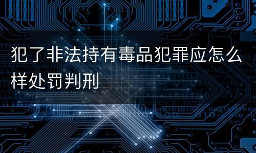 犯了非法持有毒品犯罪应怎么样处罚判刑