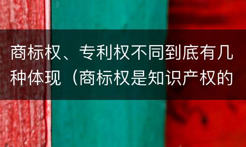 商标权、专利权不同到底有几种体现（商标权是知识产权的一种吗）