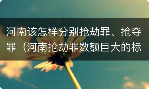 河南该怎样分别抢劫罪、抢夺罪（河南抢劫罪数额巨大的标准）