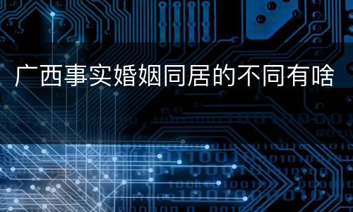 广西事实婚姻同居的不同有啥