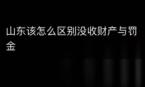 山东该怎么区别没收财产与罚金