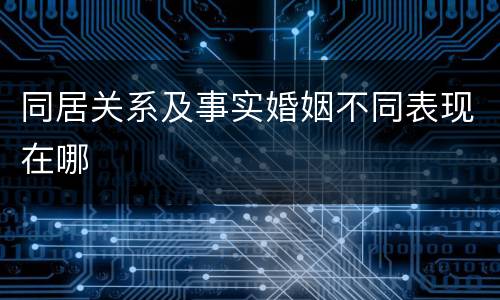 同居关系及事实婚姻不同表现在哪