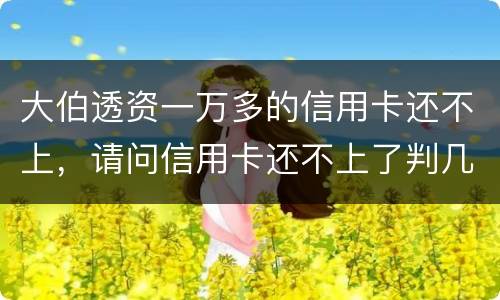 大伯透资一万多的信用卡还不上，请问信用卡还不上了判几年