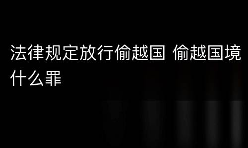 法律规定放行偷越国 偷越国境什么罪