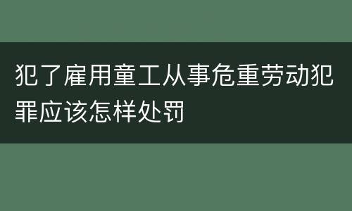 犯了雇用童工从事危重劳动犯罪应该怎样处罚