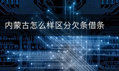 内蒙古怎么样区分欠条借条
