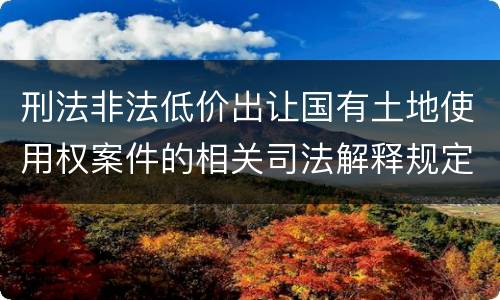 刑法非法低价出让国有土地使用权案件的相关司法解释规定具体是什么