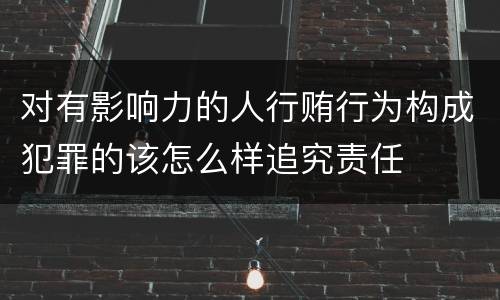 对有影响力的人行贿行为构成犯罪的该怎么样追究责任