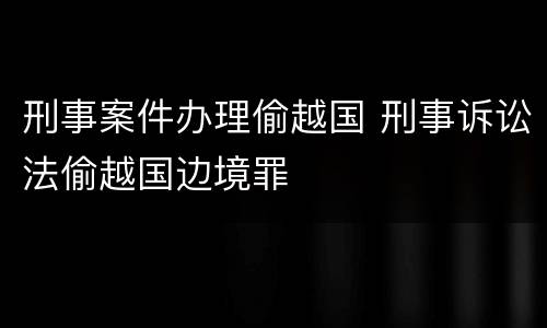 刑事案件办理偷越国 刑事诉讼法偷越国边境罪